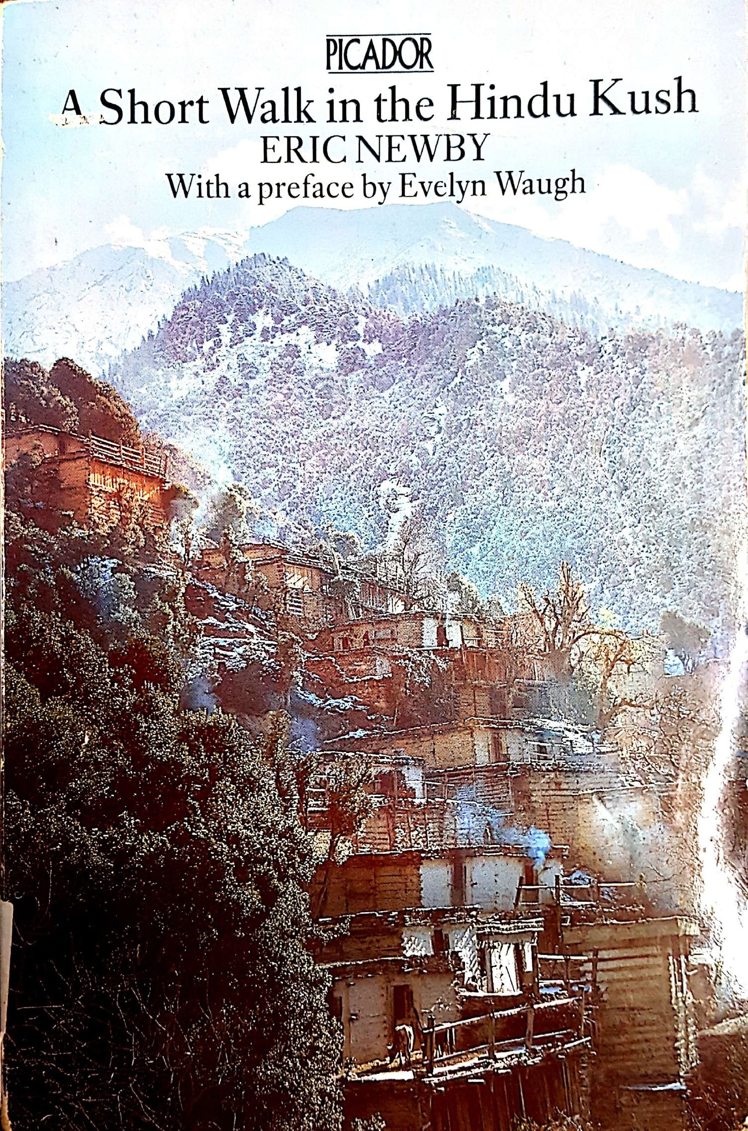 A Short Walk in the Hindu Kush