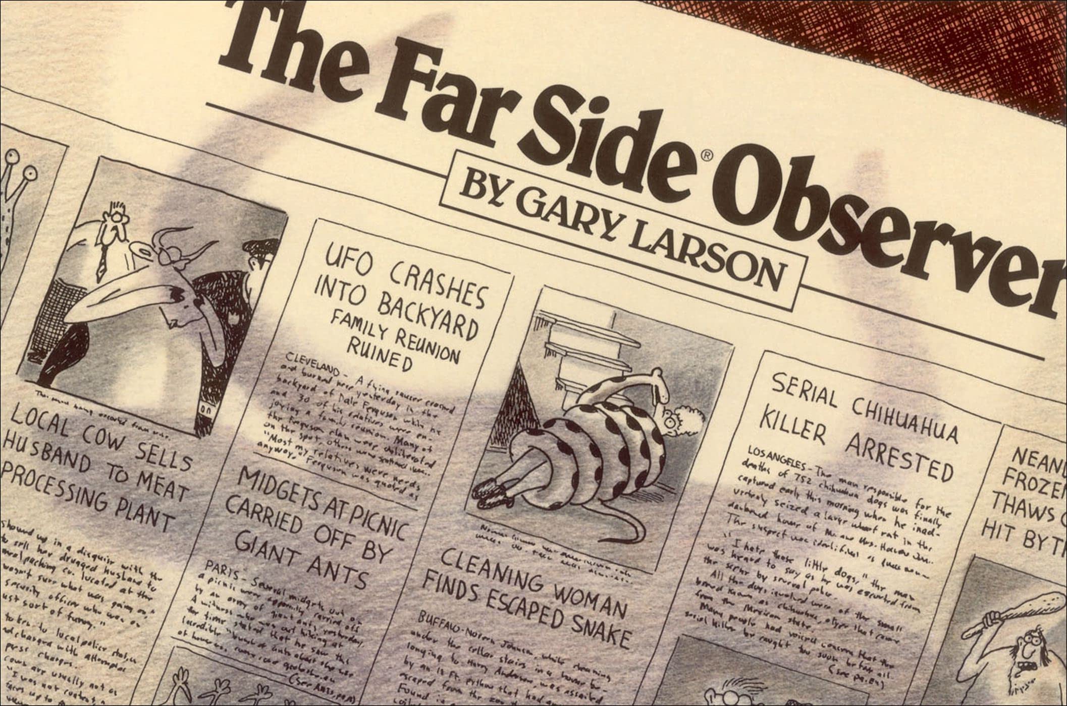 The Far Side® Observer - Image 3