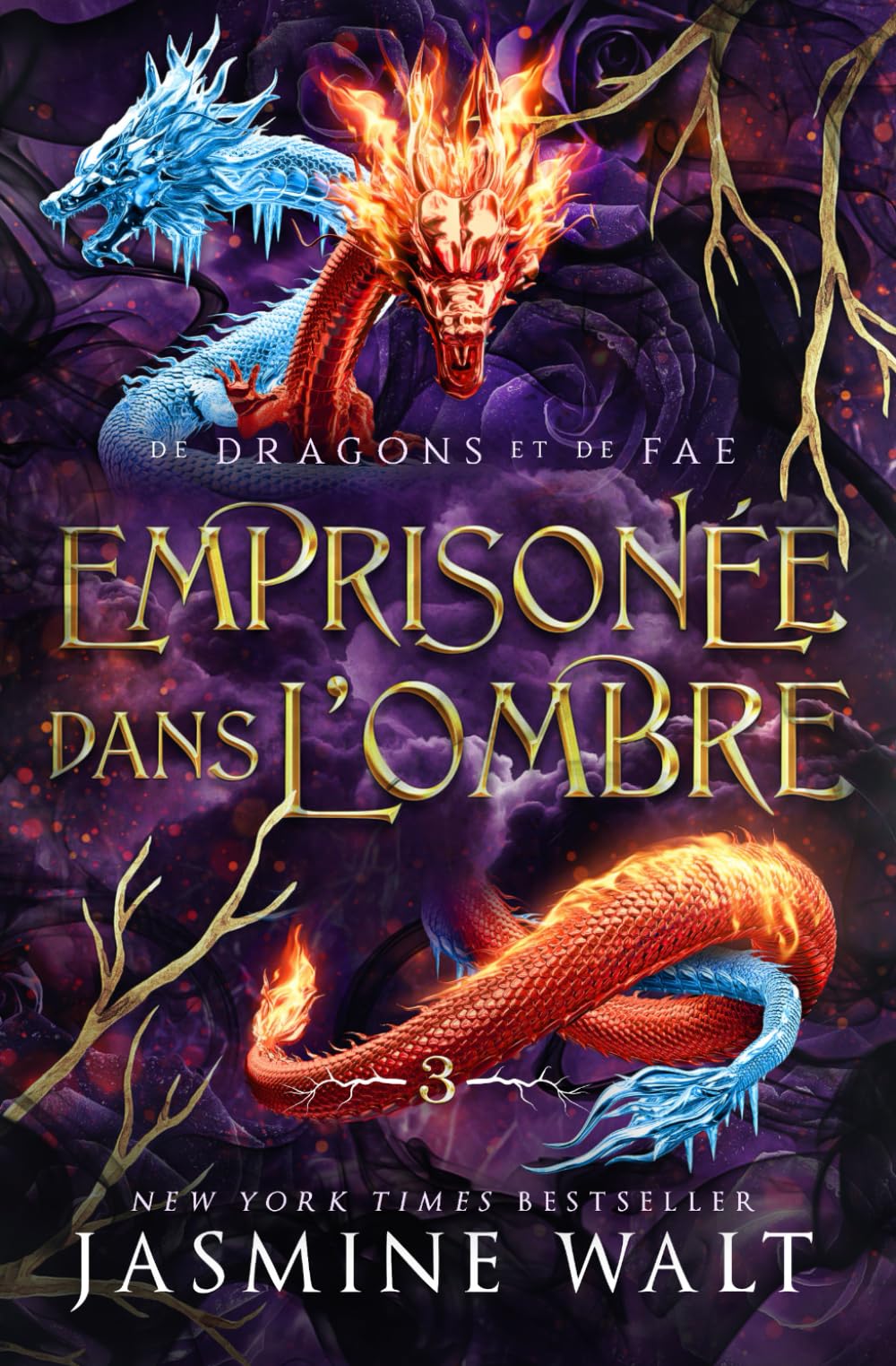 Emprisonée dans l’Ombre