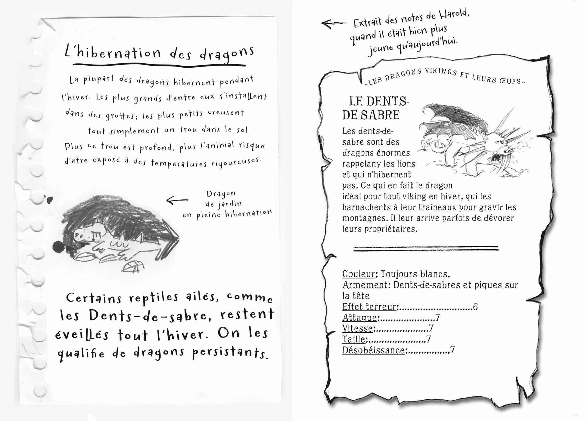 Harold et les dragons, Tome 04 - La quête de la patate congelée - Image 10