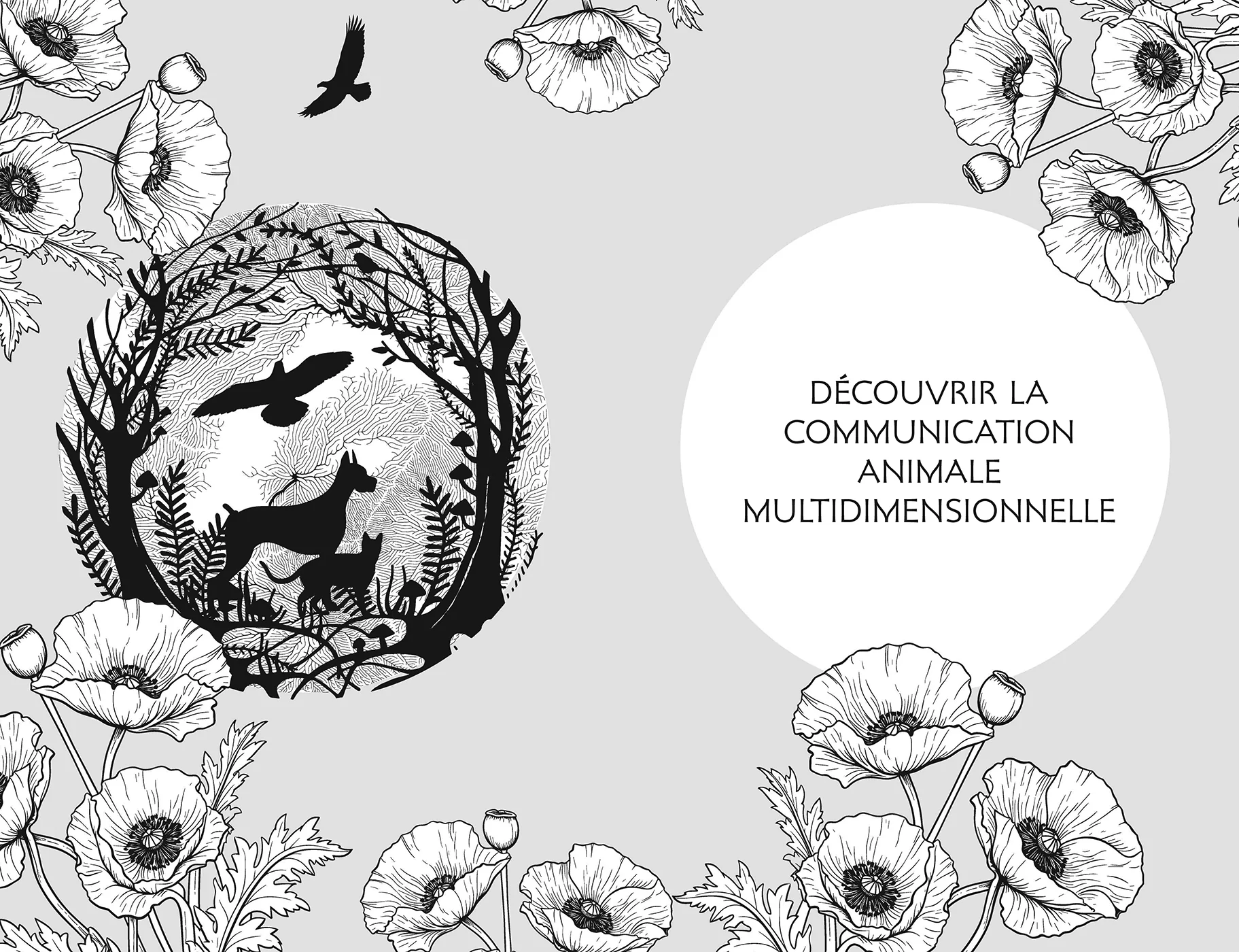Communication animale - Image 10