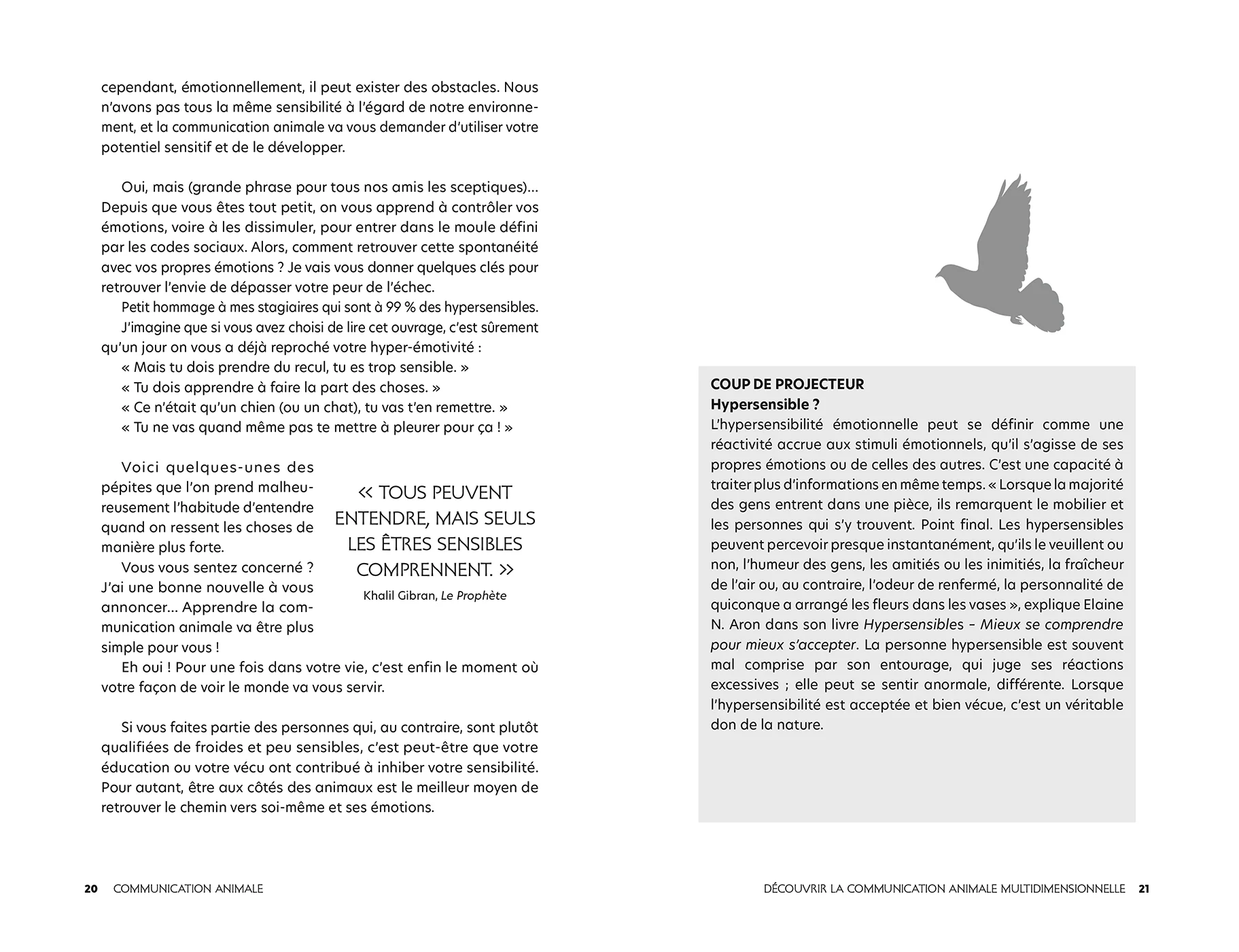Communication animale - Image 7