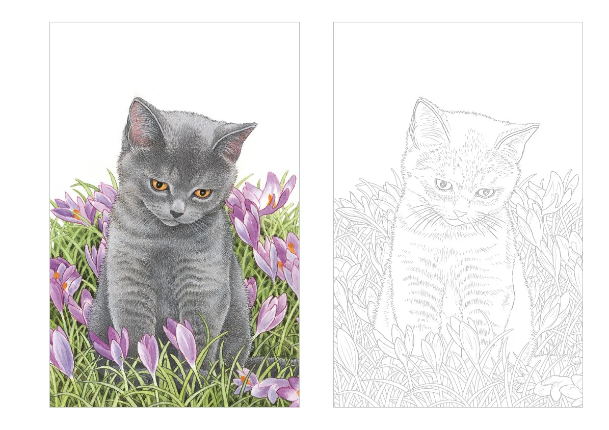 Cartes postales à colorier : Chats à croquer - Image 6