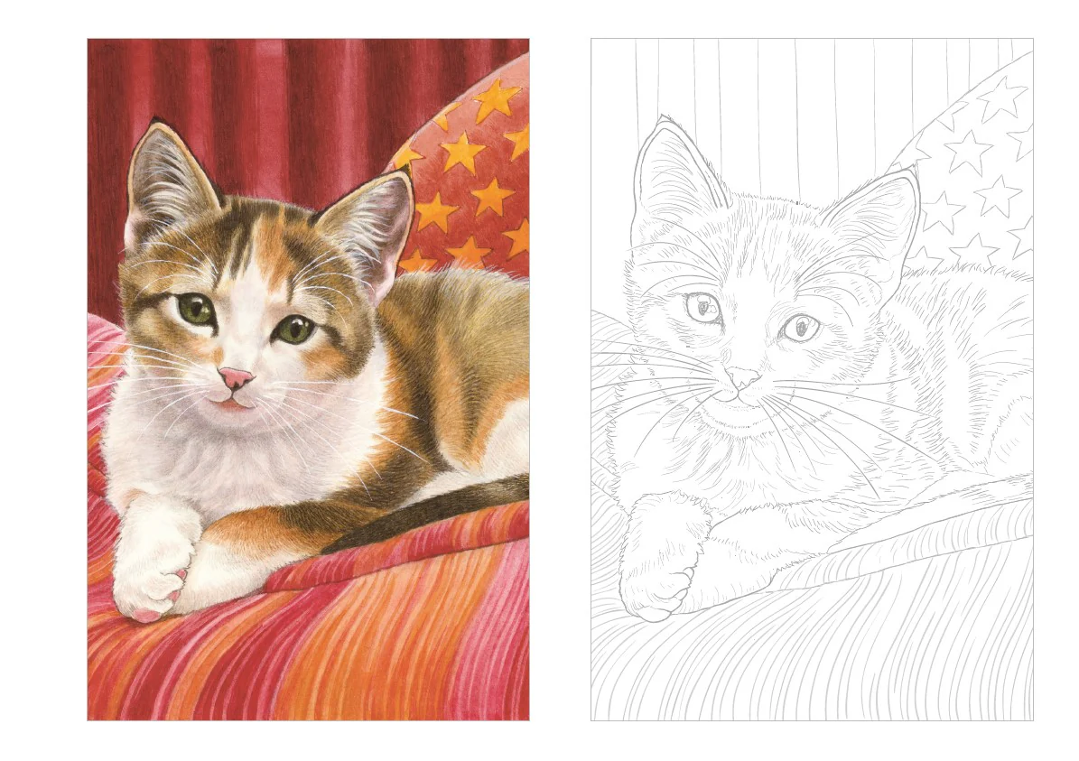Cartes postales à colorier : Chats à croquer - Image 7