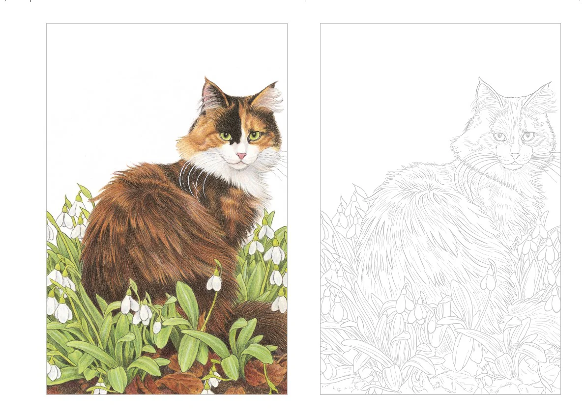 Cartes postales à colorier : Chats à croquer - Image 8