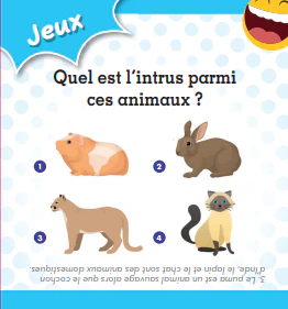 Apéro Quiz ludiques en famille - Image 7
