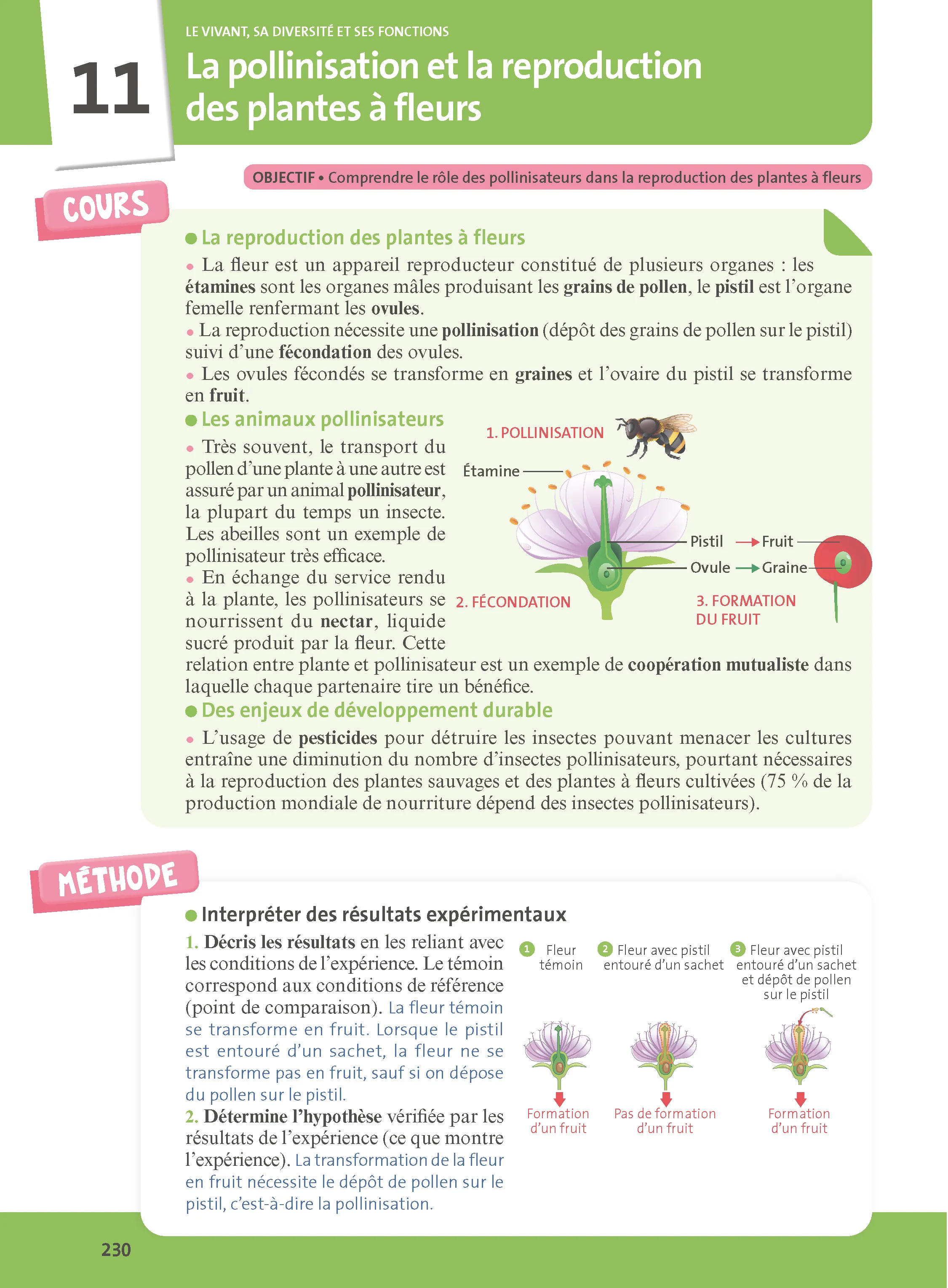 Mon année de 6e - Image 28