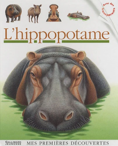 L'hippopotame - Image 3