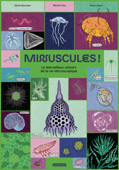 Minuscules !