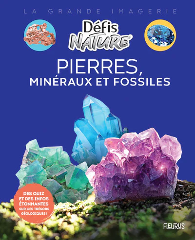 Pierres, minéraux et fossiles - Image 2