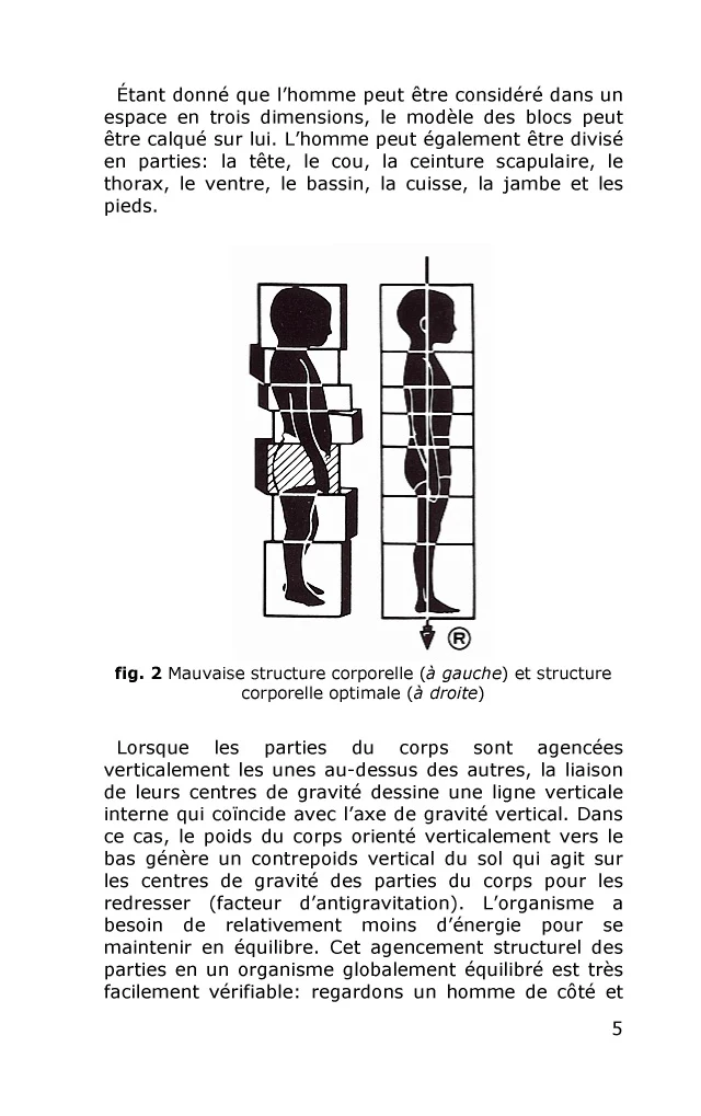 Rolfing - Intégration structurale - Image 25