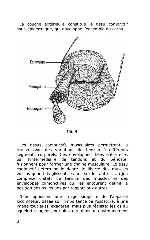 Rolfing - Intégration structurale - Image 64