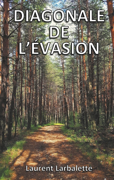 Diagonale de l'évasion (poche) - Image 33