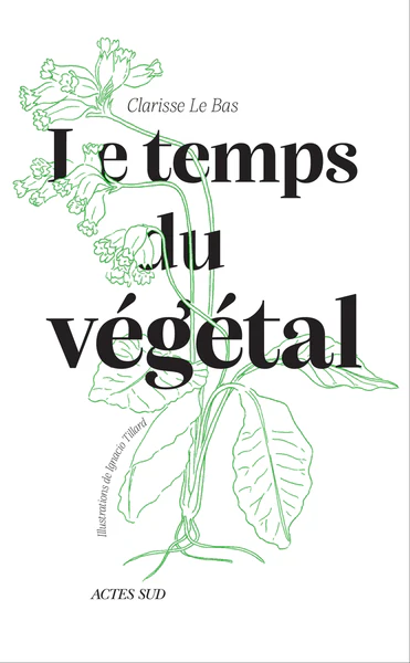 Le temps du végétal