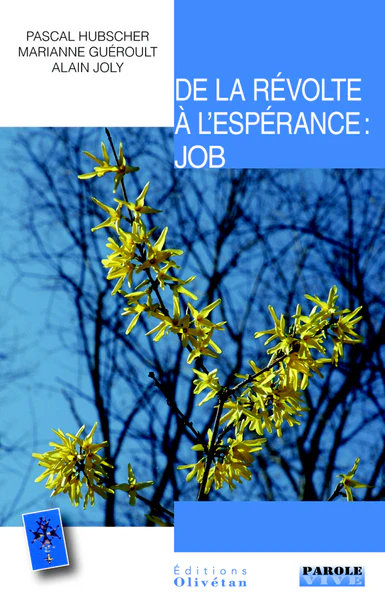 De la révolte à l'espérance ! Job - Image 2