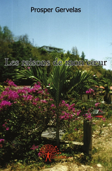 Les raisons de mon coeur