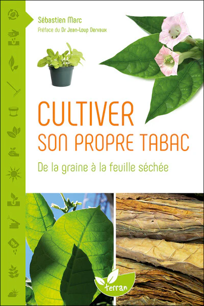 Cultiver son propre tabac - De la graine à la feuille séchée - Image 6