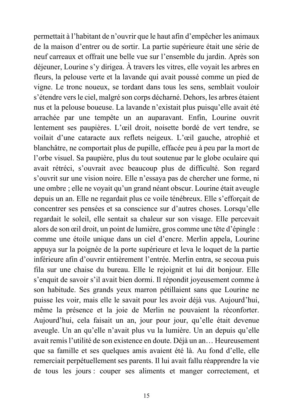 Feihwauz : Réveillé des Brumes - Tome I - Image 2