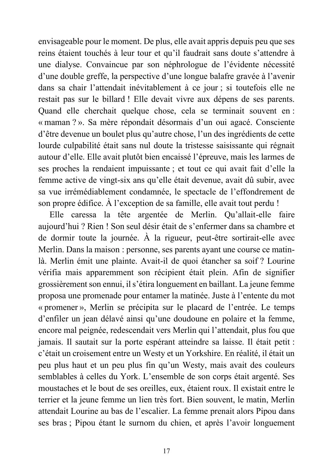 Feihwauz : Réveillé des Brumes - Tome I - Image 4
