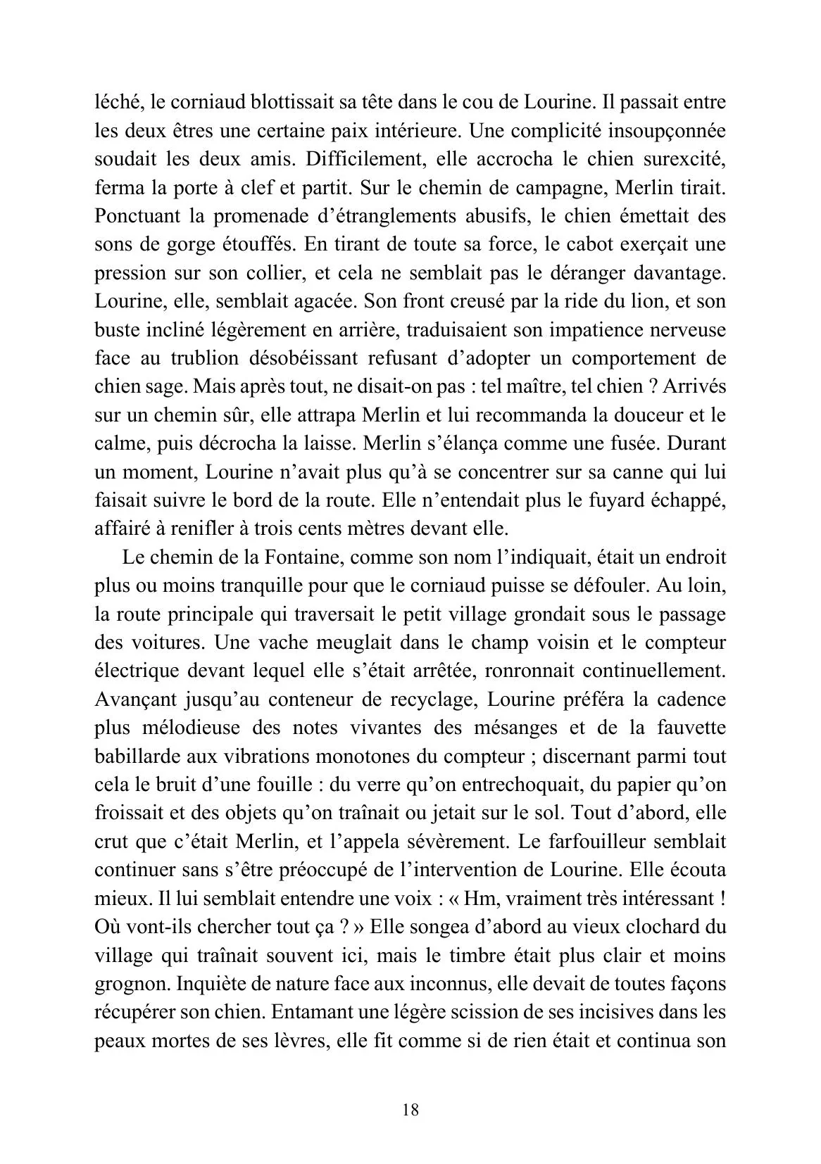 Feihwauz : Réveillé des Brumes - Tome I - Image 5