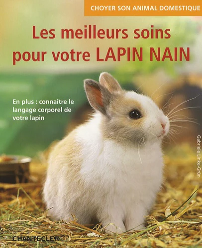 Les meilleurs soins pour votre lapin nain - Image 4