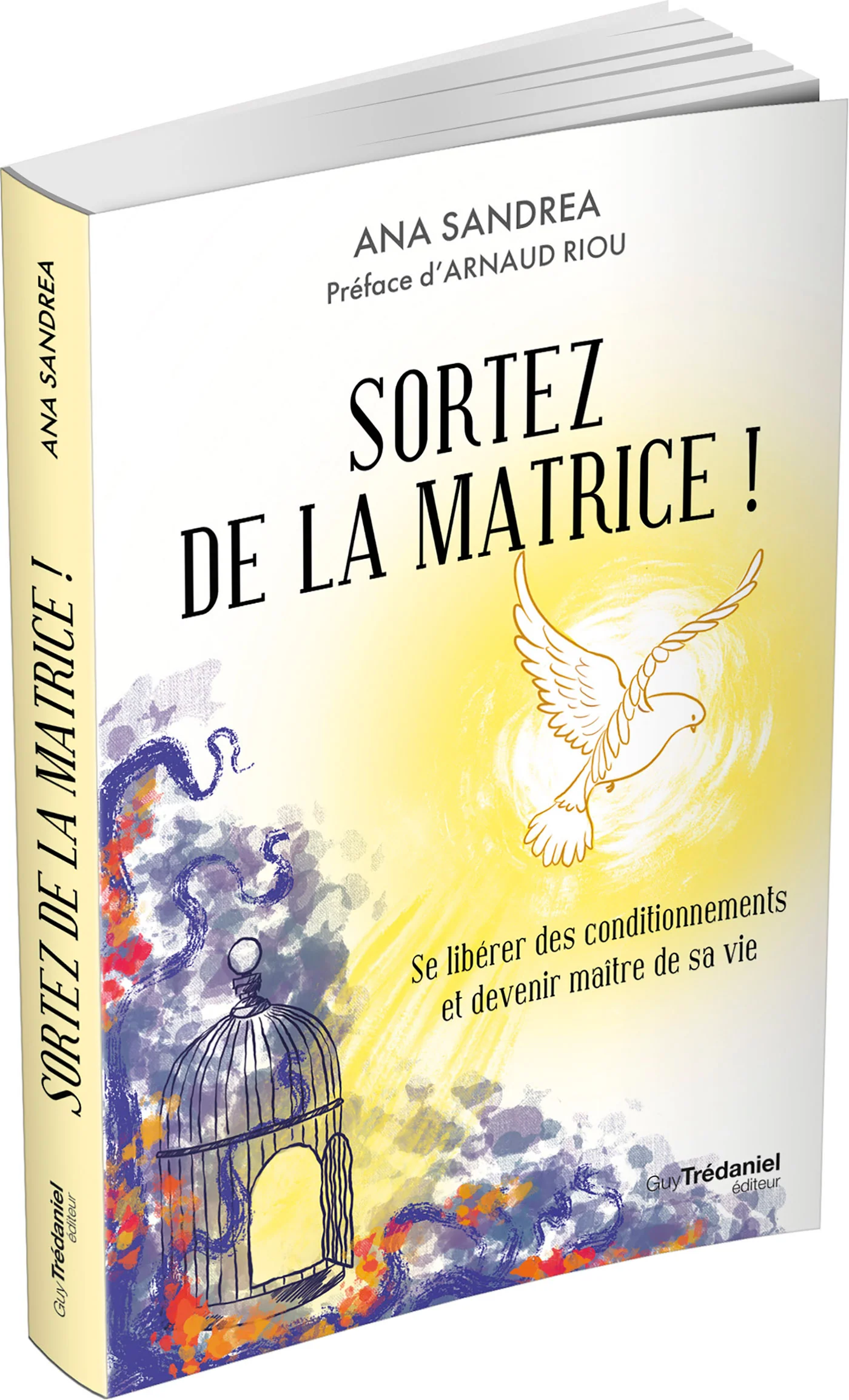 Sortez de la matrice ! - Se libérer de ses conditionnements et devenir maître de sa vie - Image 8