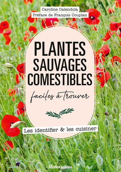 Plantes sauvages comestibles faciles Ă trouver