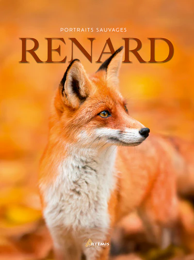 Renard