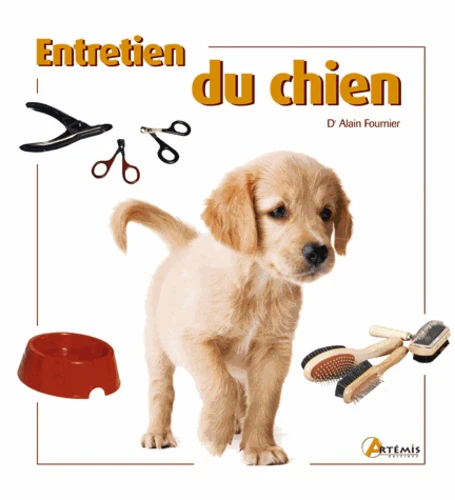 Entretien du chien - Image 3