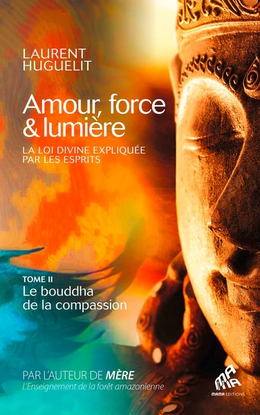 Amour, force & lumière, La Loi divine expliquée par les esprits