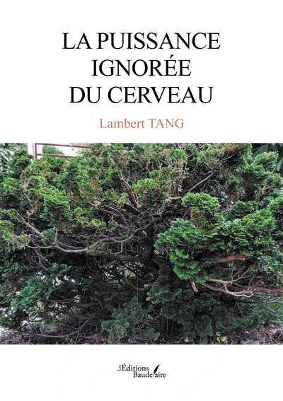 La puissance ignorée du cerveau