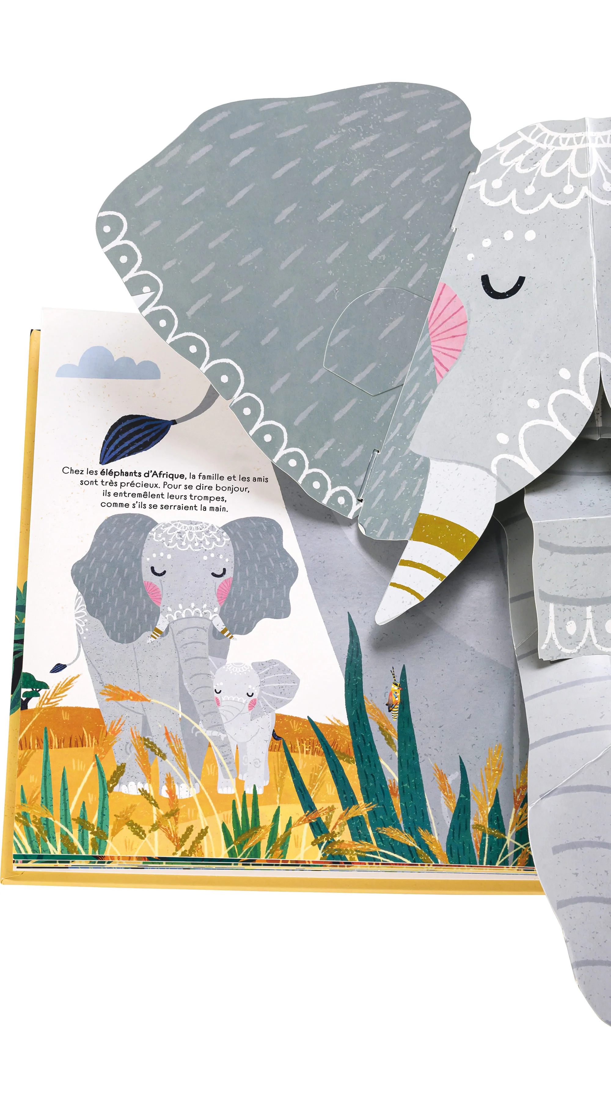 À la découverte de la savane - Un livre pop-up - Image 11