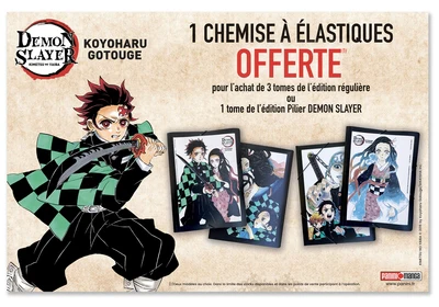 Colis 60 exemplaires - OP Demon Slayer Pochette