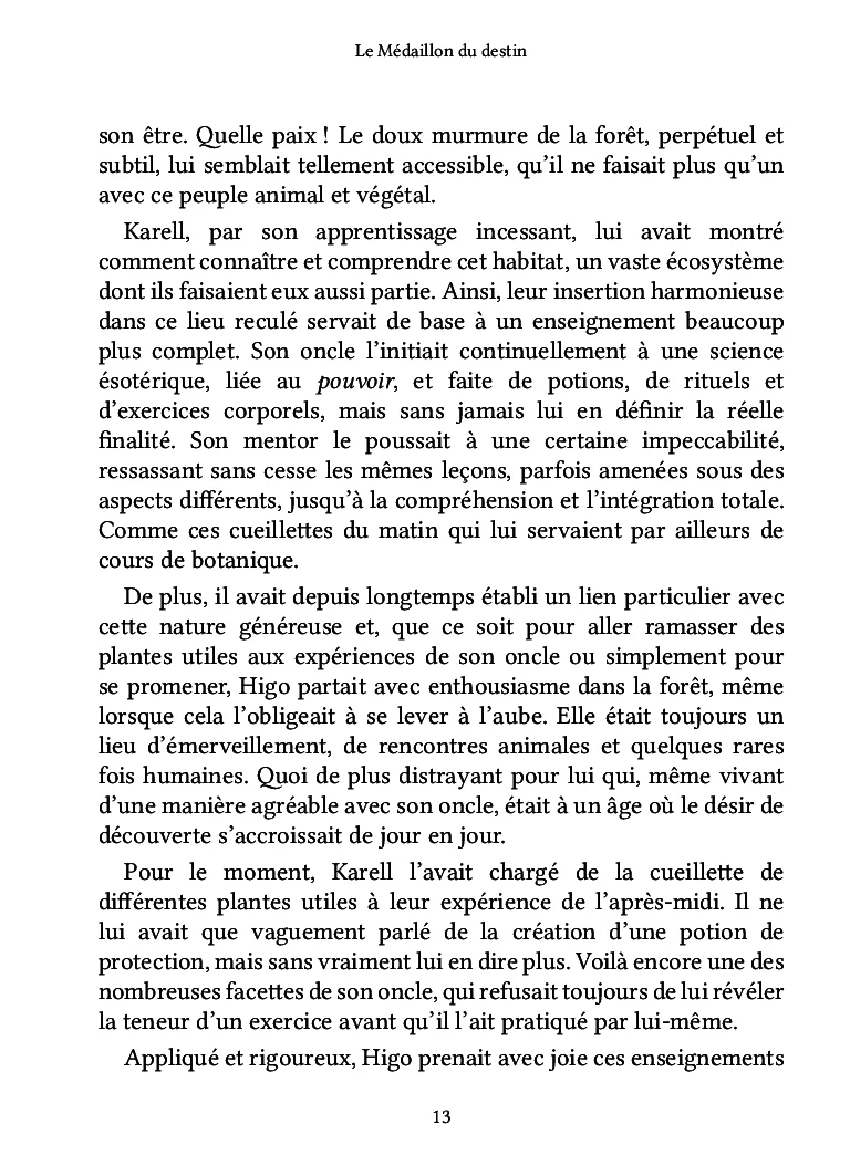 Le Médaillon du destin - Image 10