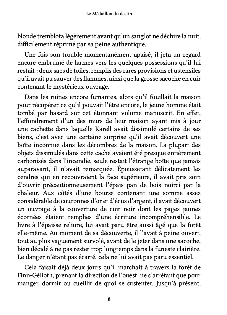 Le Médaillon du destin - Image 16