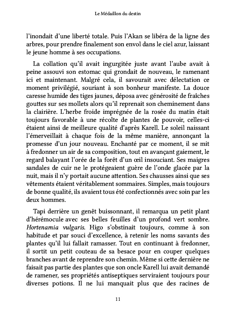 Le Médaillon du destin - Image 19