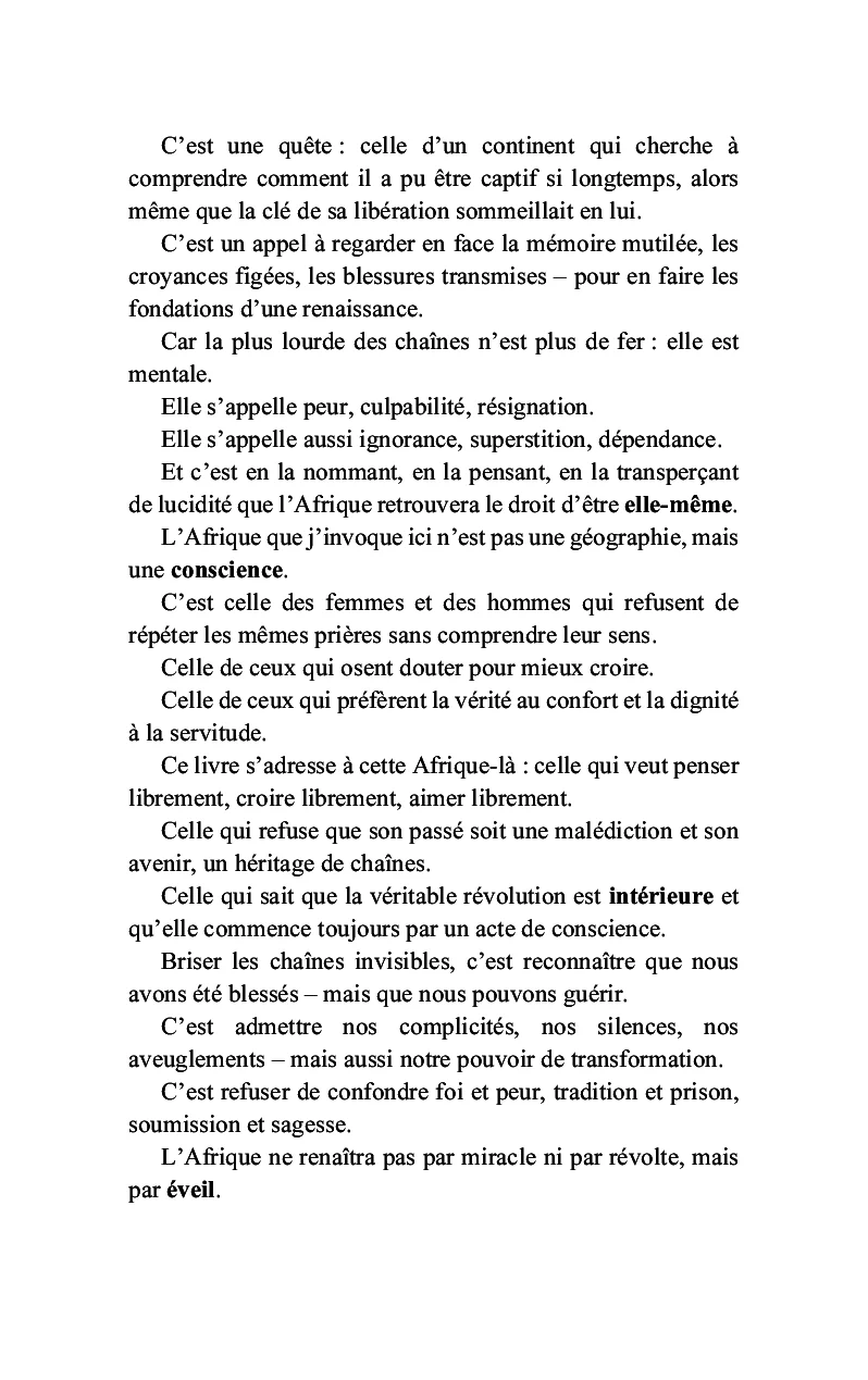 L'Afrique trahie par les siens - Image 4