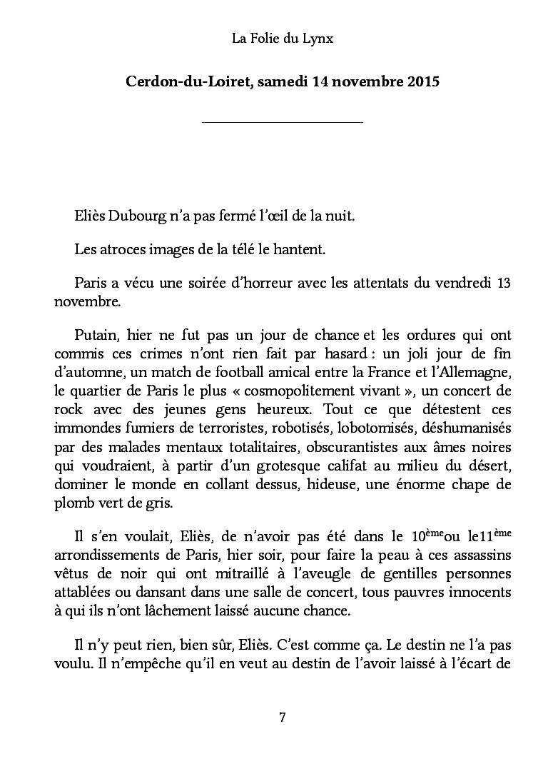 La Folie du Lynx - Image 4