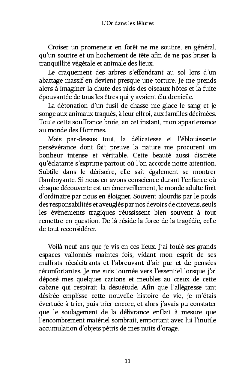 L'Or dans les fêlures - Image 19