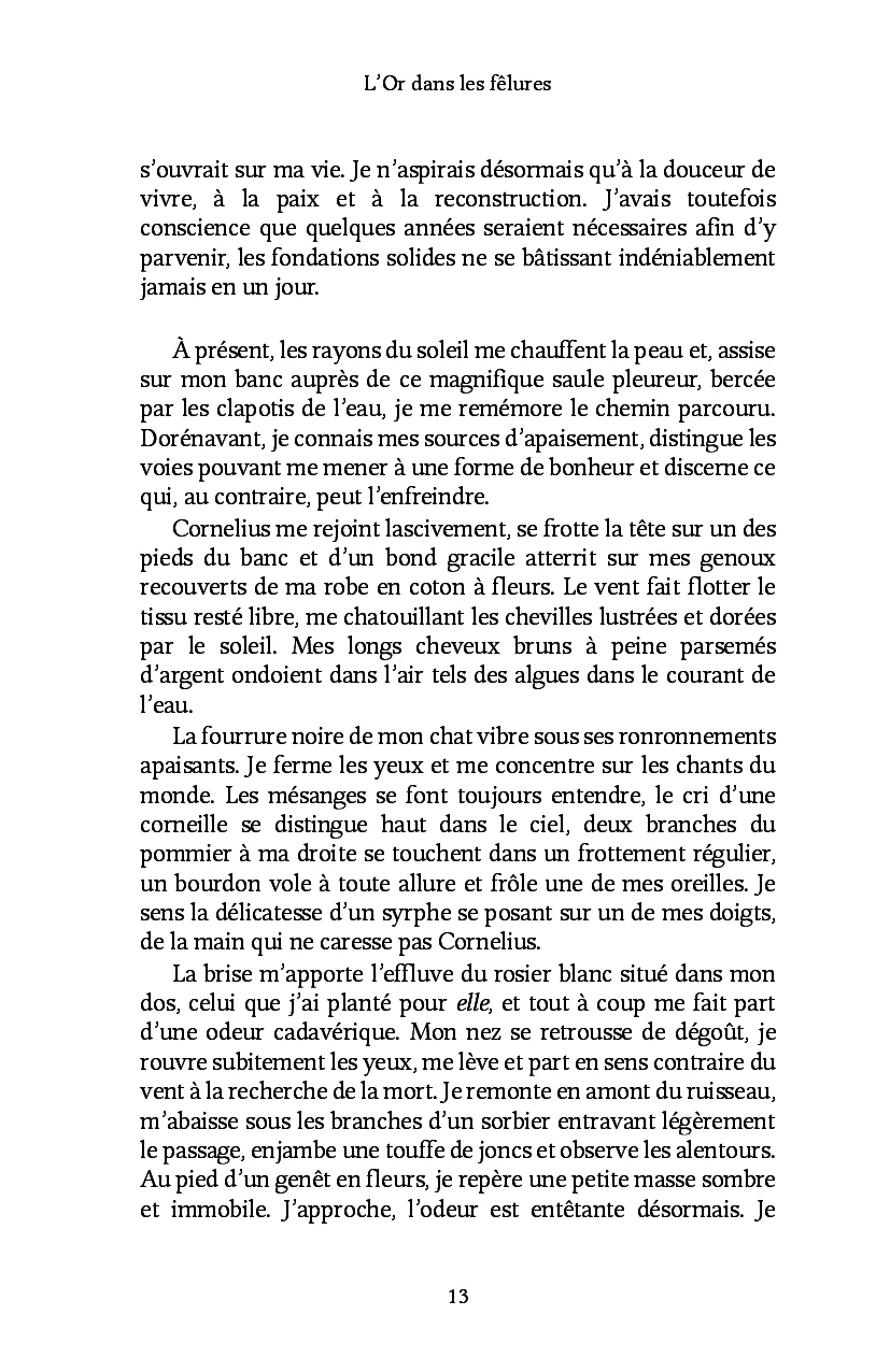 L'Or dans les fêlures - Image 21