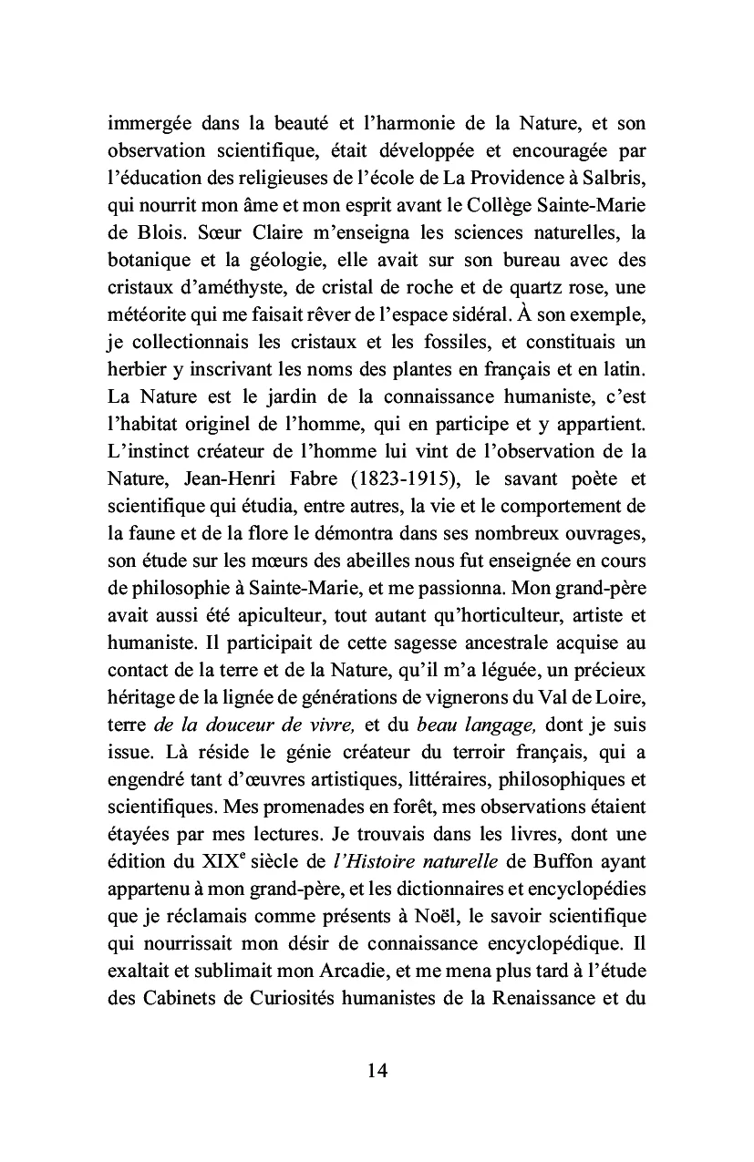 Bois-le-Roi à la lisière de la forêt - Image 10