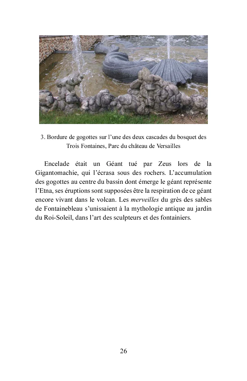 Bois-le-Roi à la lisière de la forêt - Image 22