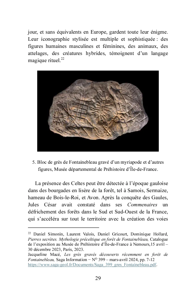 Bois-le-Roi à la lisière de la forêt - Image 52