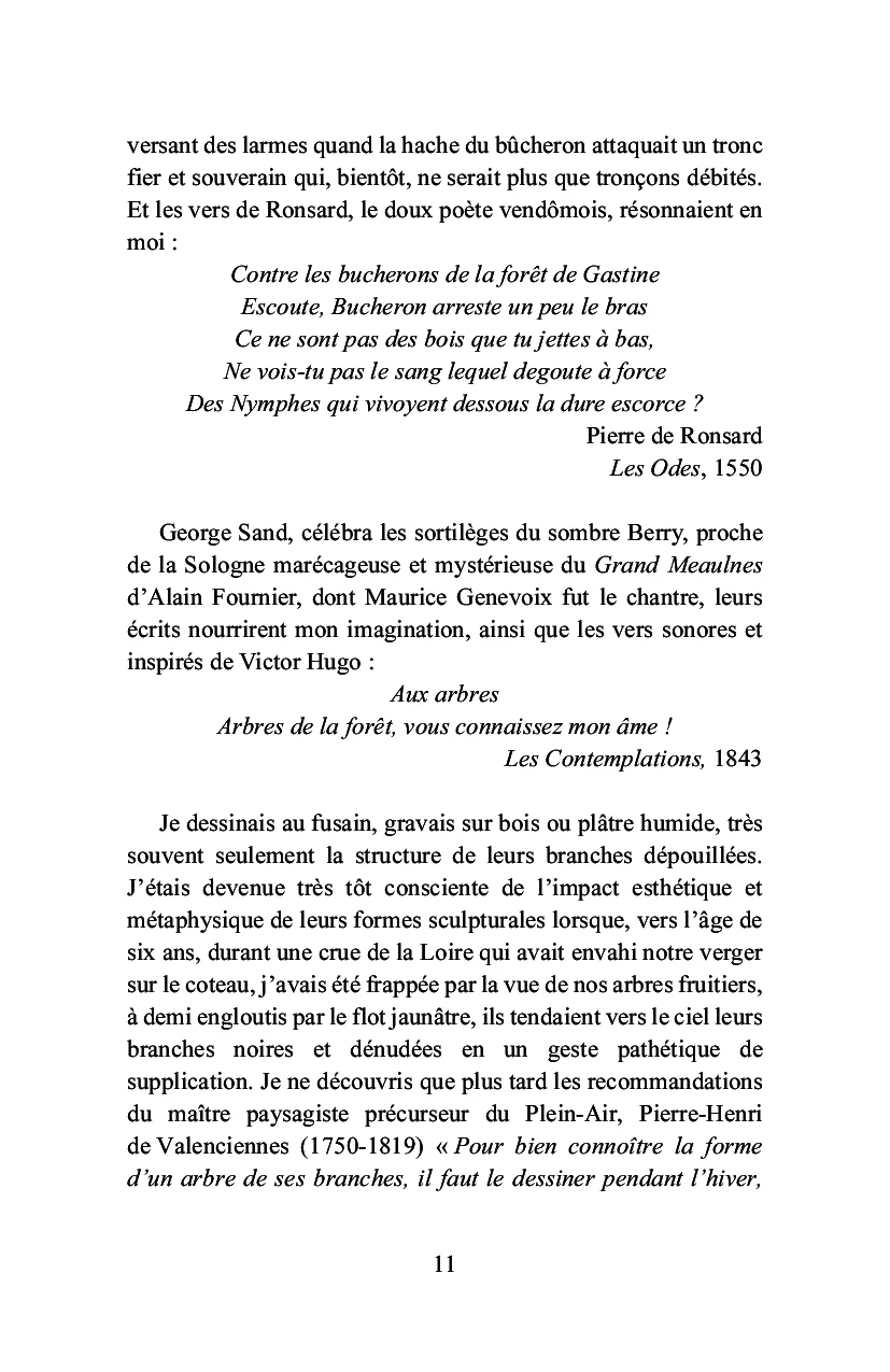 Bois-le-Roi à la lisière de la forêt - Image 7