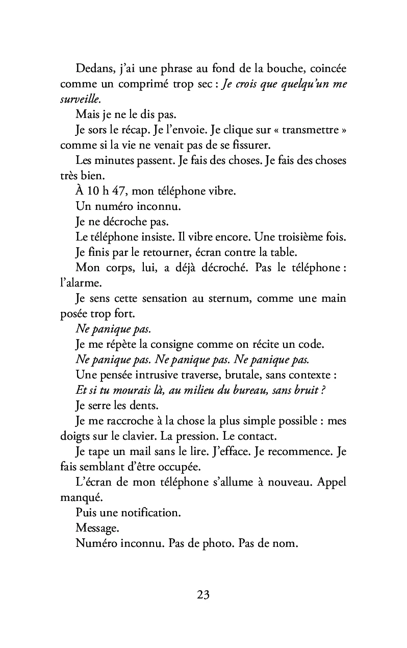 Calme en vitrine - Image 19