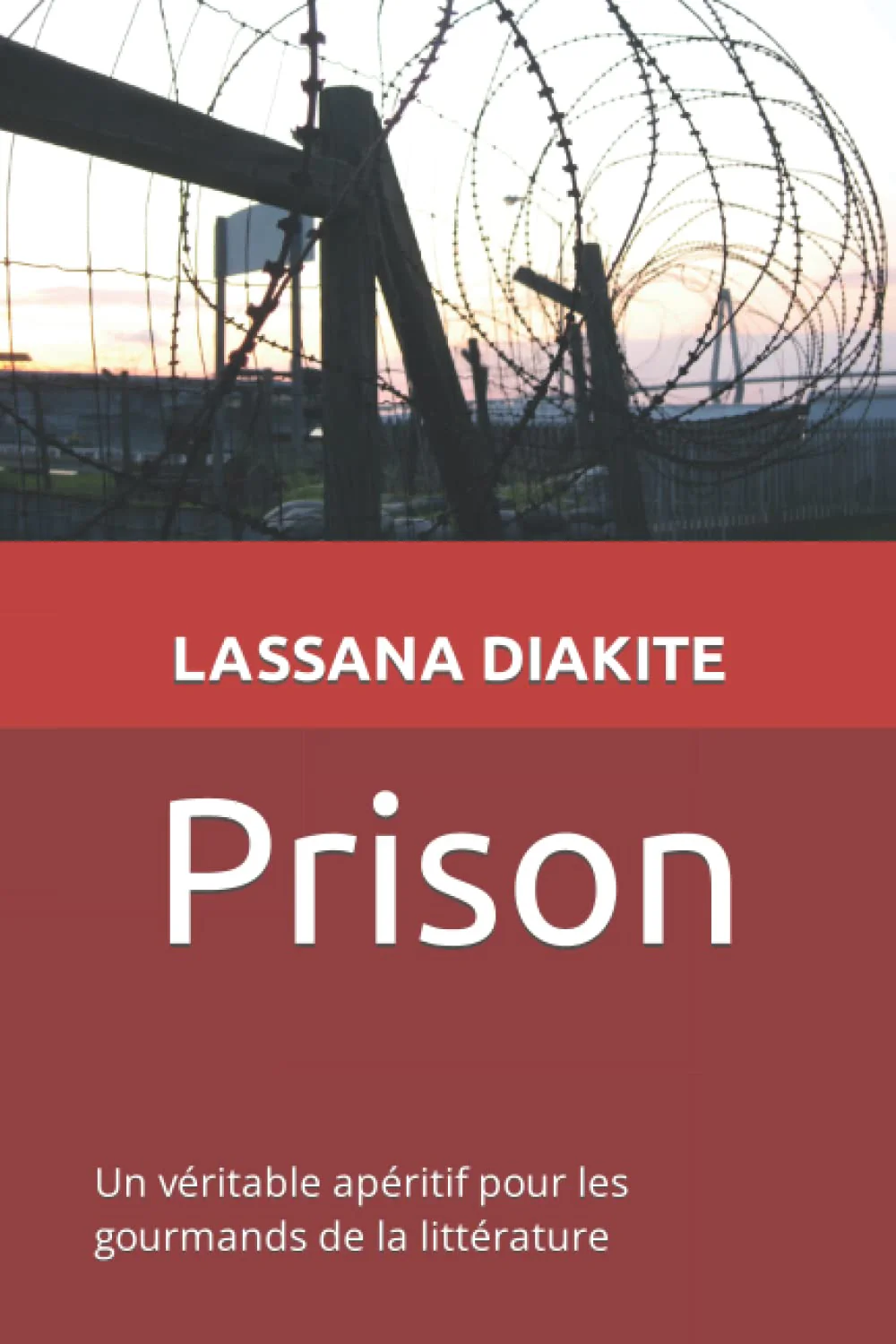 Un véritable apéritif pour les gourmands de la littérature: Diakite Lassana